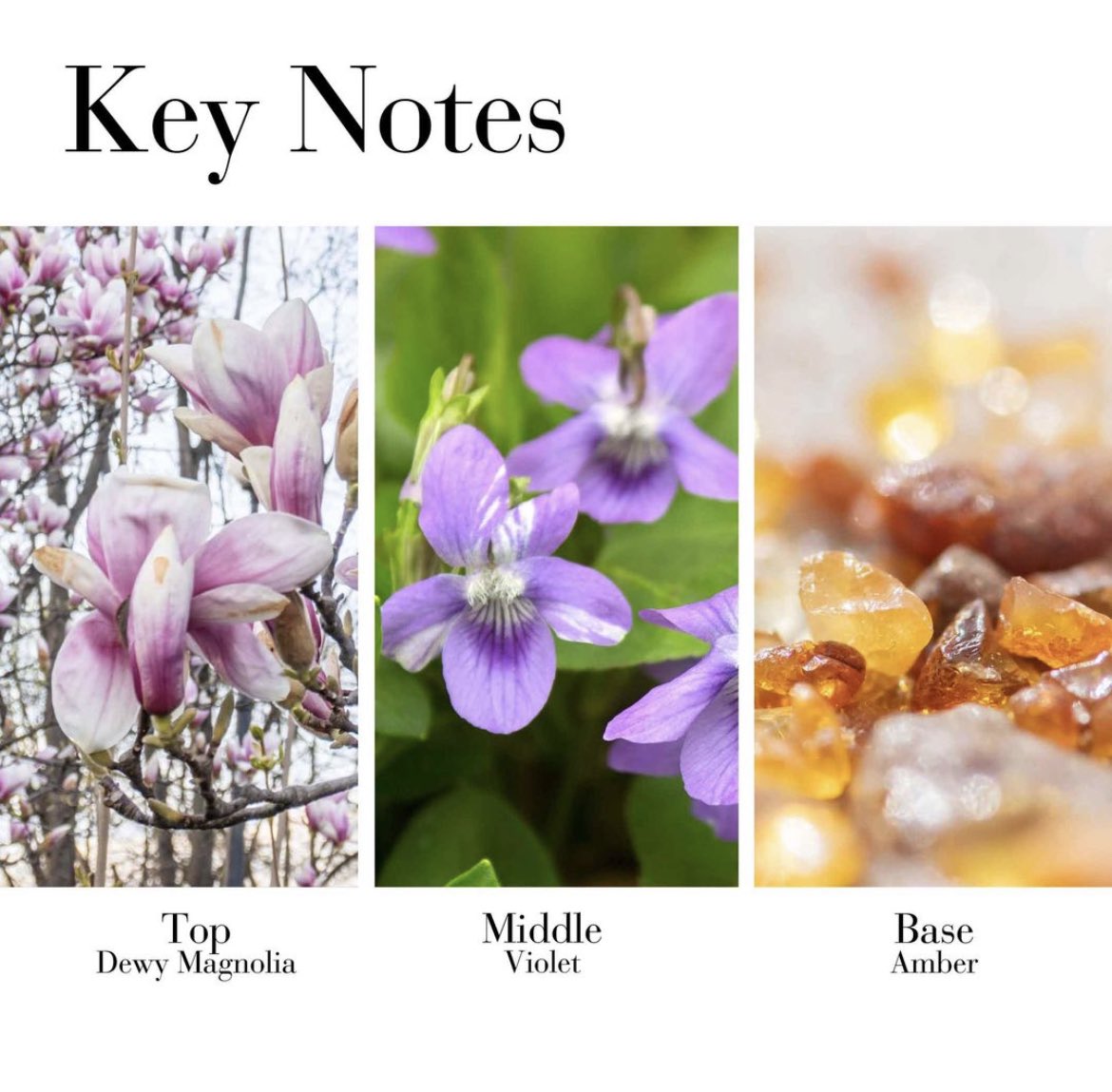 pxwSkincare's tweet image. Elizabeth Arden 5th Avenue EDP 125ml.
กลิ่นคลาสสิคสุดหอม แนวดอกไม้ 
กระดังงา + ดอกไม้ฉ่ำๆ 

✨พร้อมส่ง 890 บาท✨

#Elizabetharden