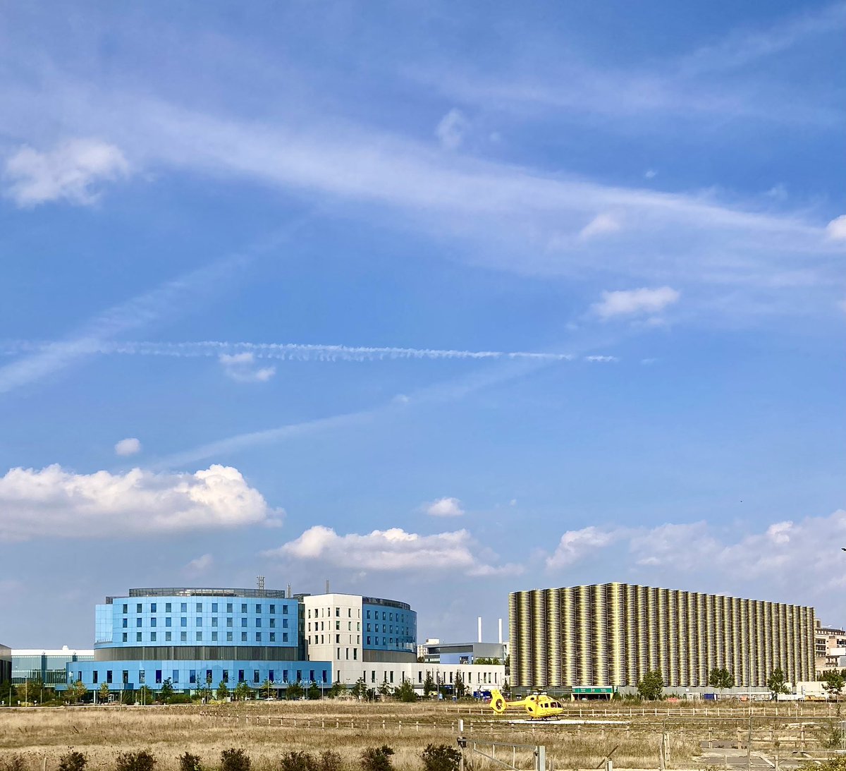 Dr Stephen T Webb tweet media