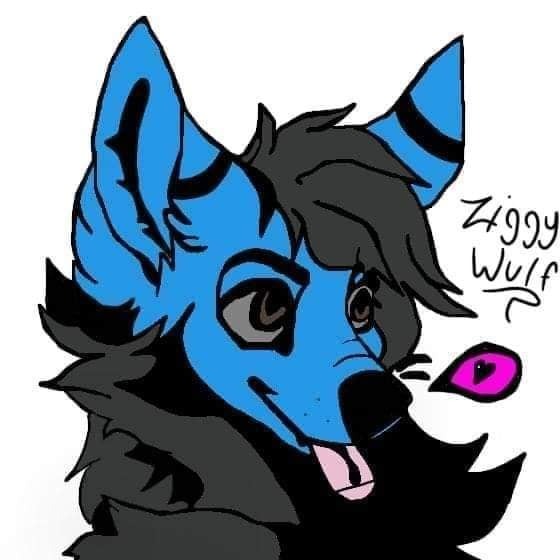 Heya , here's your furry friend who basically enhance profiles for furries by making different kinda logos , art pieces , couple pfps and OC's as well. 😍😁
#furryart #furryartwork #furryartist #fursonacon #furrycommunity