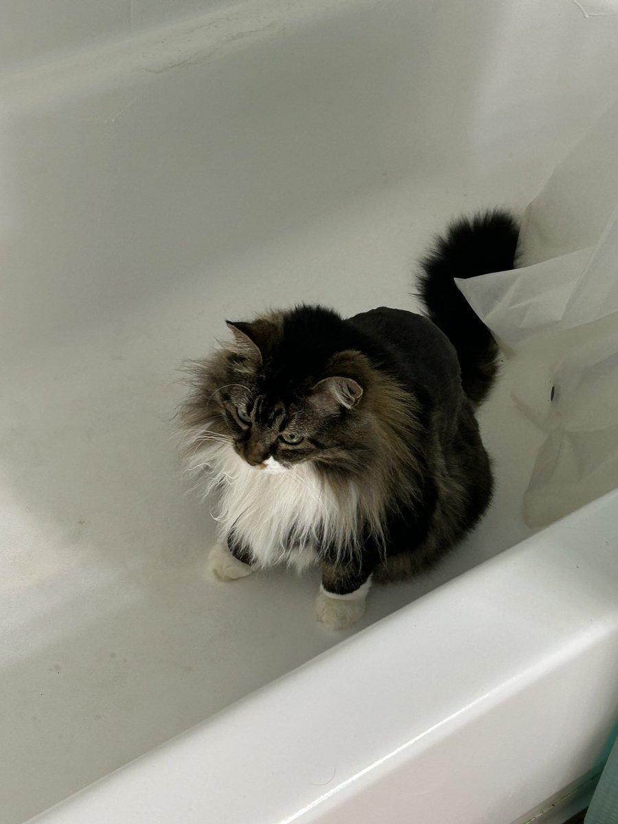 Amy Ferraro-Kick ED’s Butt (@acf1973) on Twitter photo 