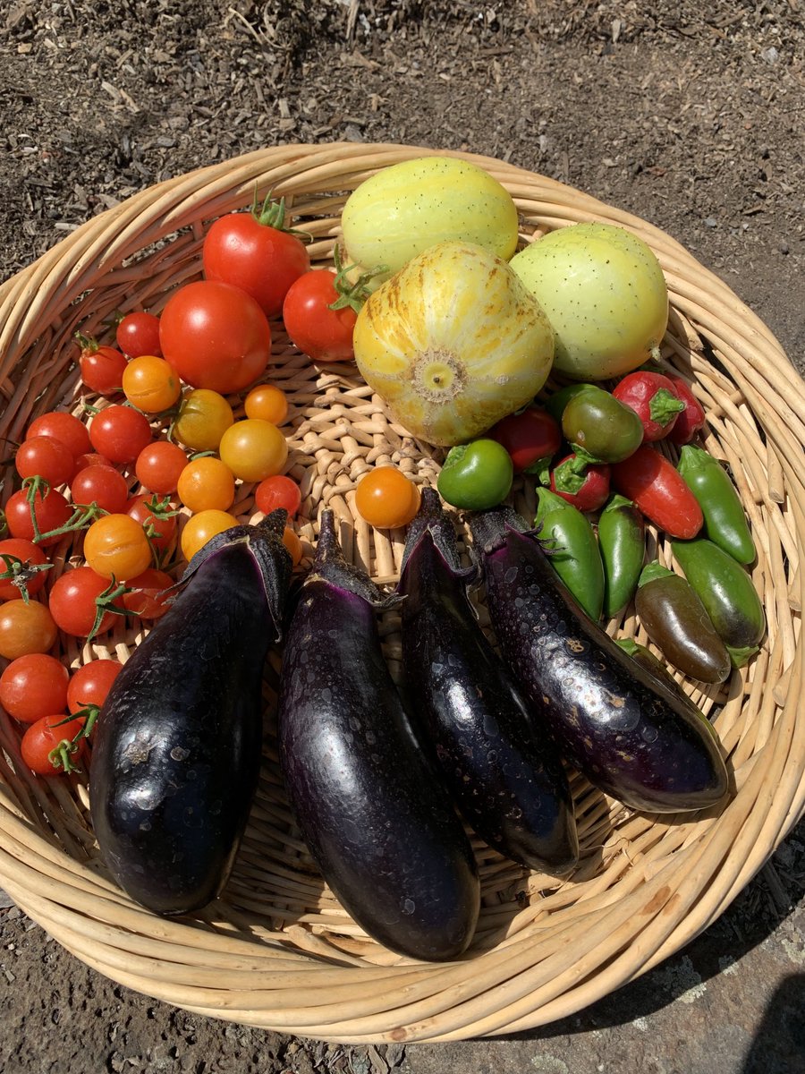 Pamela Samuelson tweet media