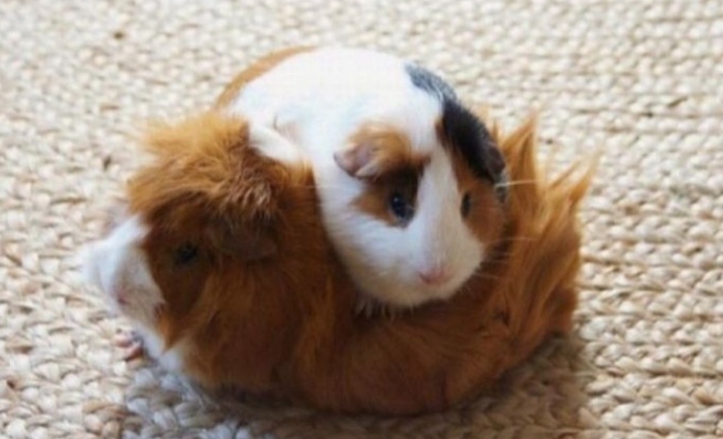 me: I'm not clingy
also me: