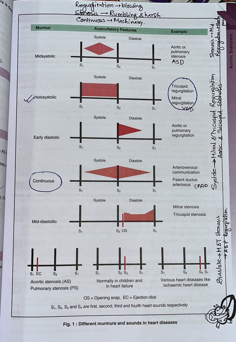 tohidur_tr7's tweet photo. Best way to remember murmur 💗
#MedTwitter
#medbooks
#Cardiology https://t.co/vQA8adiZJL