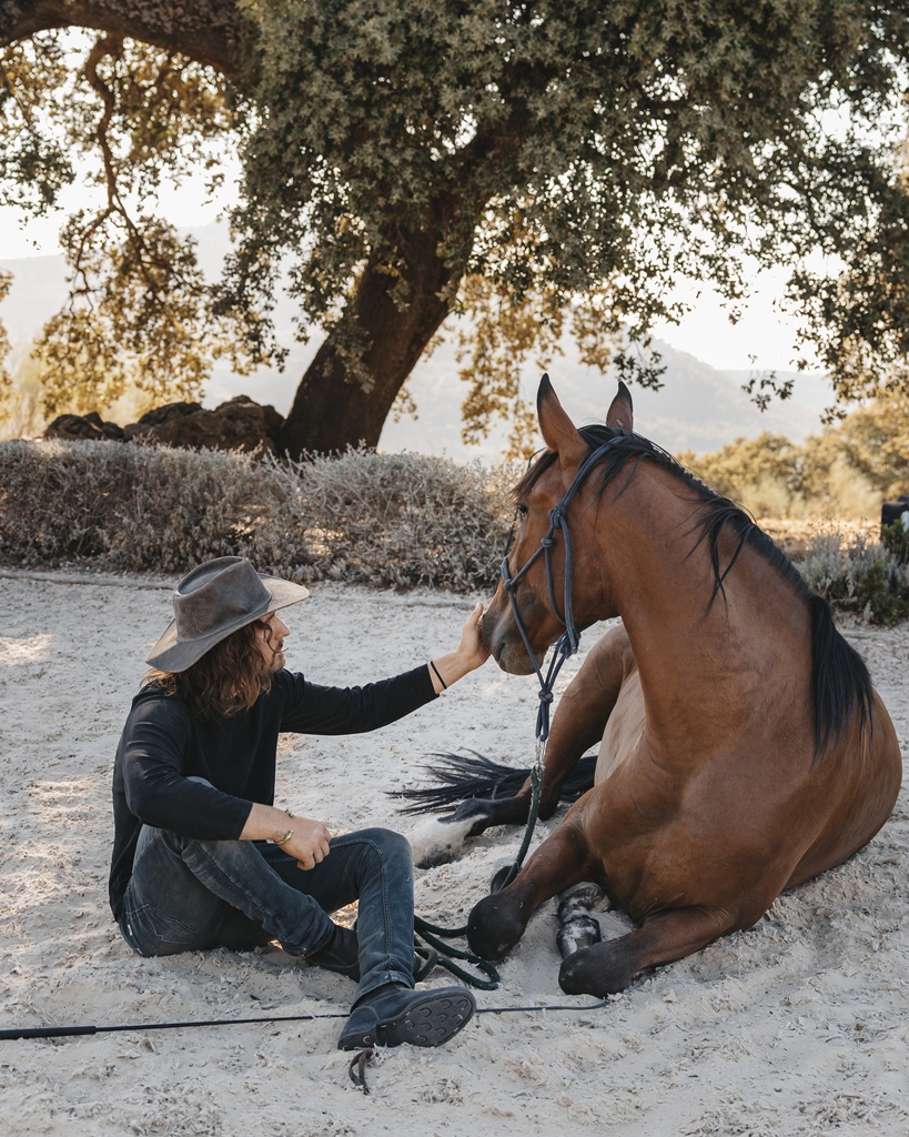 A partnership between a human and a horse — that’s what natural horsemanship is about.

—
#naturalhorsemanship #naturalhorsemanshiptraining #naturalhorsecare #lusitano #lusitanos #lusitanohorse