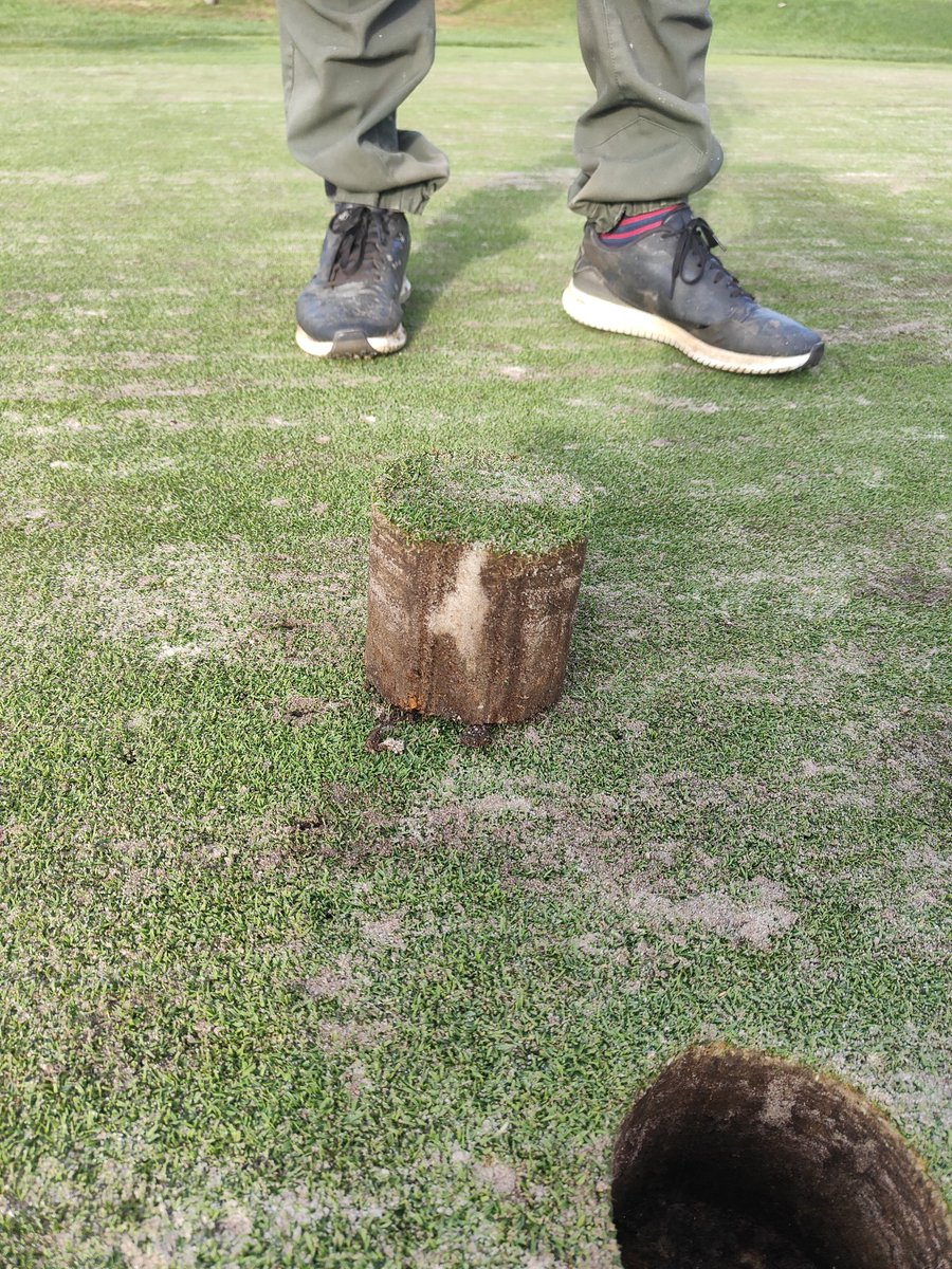 Peter Smith tweet media