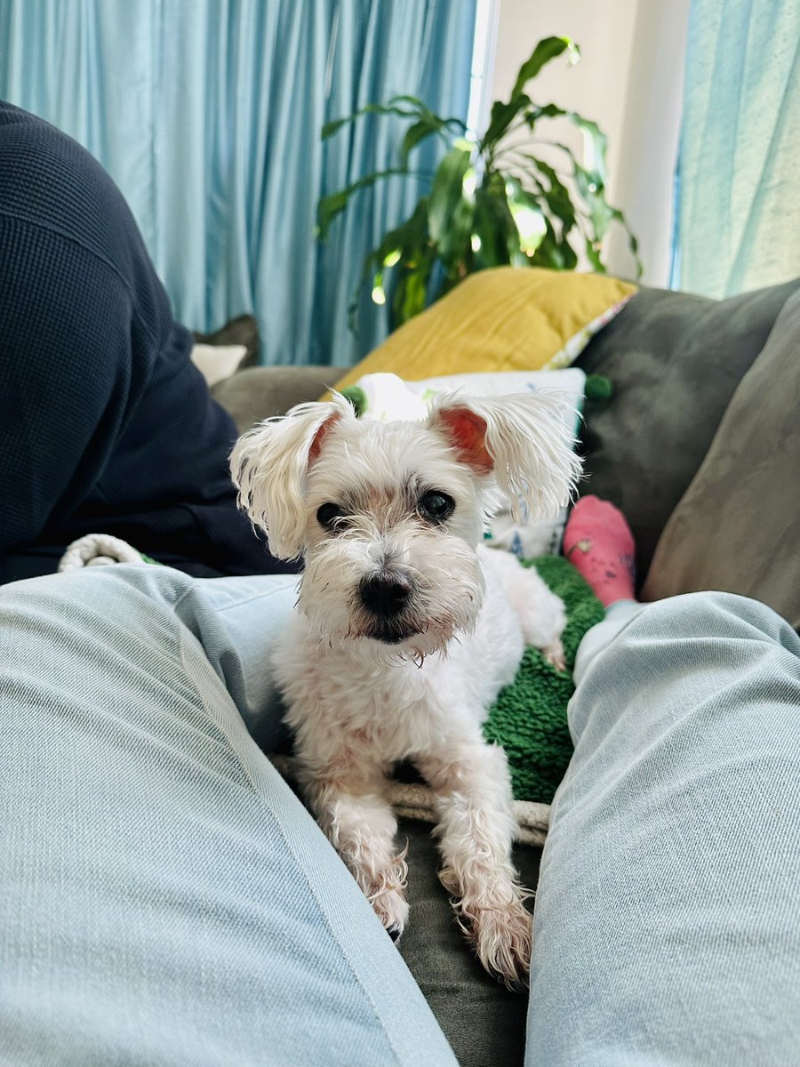 Are we going out soon? 🤨 😂🐾