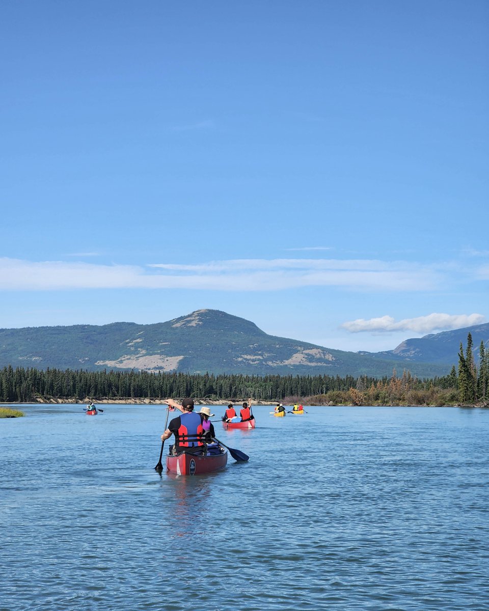 Regina 86th Scouts tweet media