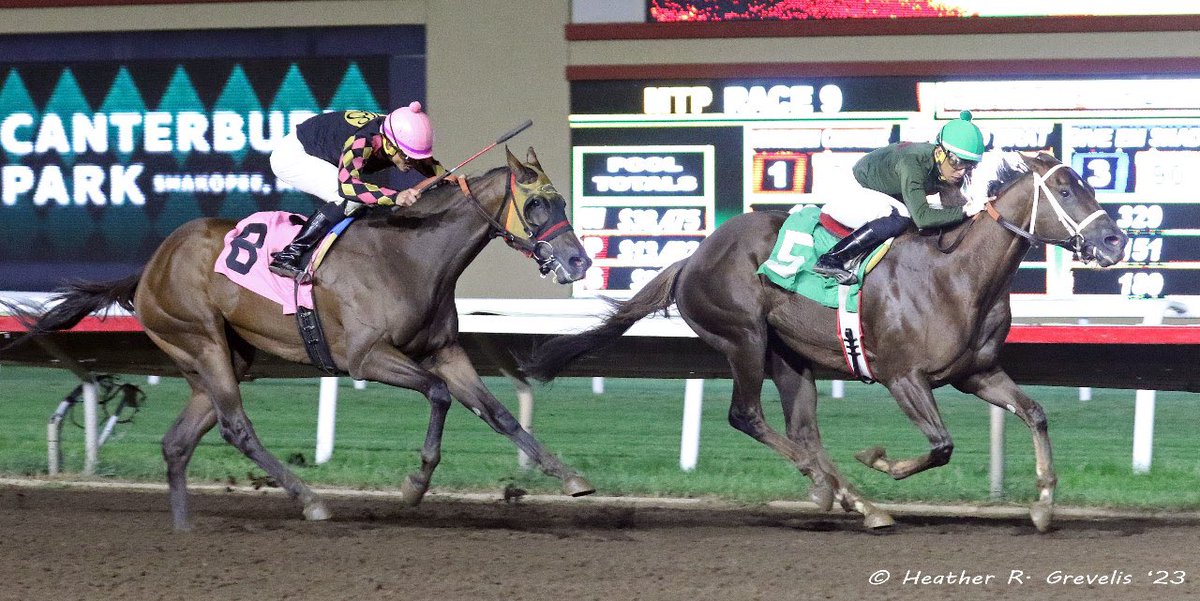 minnesotabred's tweet photo. 1-2 in R9 Wednesday~~ Miss Mac Mac (5) &amp; Constantino Roman for trainer Tim Padilla and owner Pete Mattson…Chaparrita (8) &amp; Daylor Berrios-Lopez for trainer Miguel Silva &amp; owner Silva Racing; @CanterburyPark https://t.co/p2k2pkOZjp