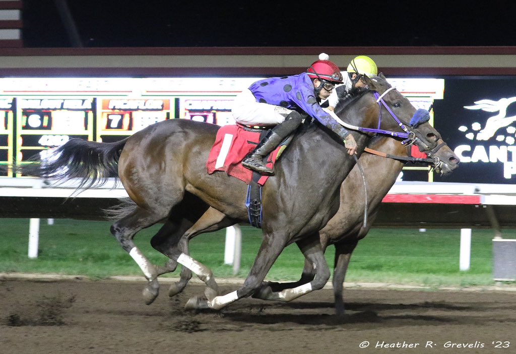 minnesotabred's tweet photo. Northern Charmer (1) &amp; Laureano Sosa for trainer Tony Rengstorf and owners Rengstorf Racing &amp; Guy Grooms, bred in MN by Sharon Schwan; @CanterburyPark https://t.co/CmF2uWGuxB