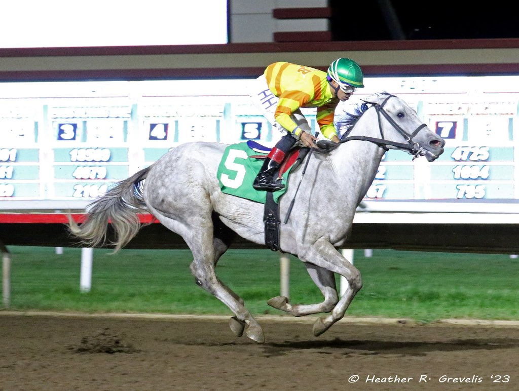 minnesotabred's tweet photo. Jrue Breeze &amp; Harry Hernandez for trainer Gary Scherer and owners Al &amp; Bill Ulwelling; @CanterburyPark https://t.co/exCDBuTwSa