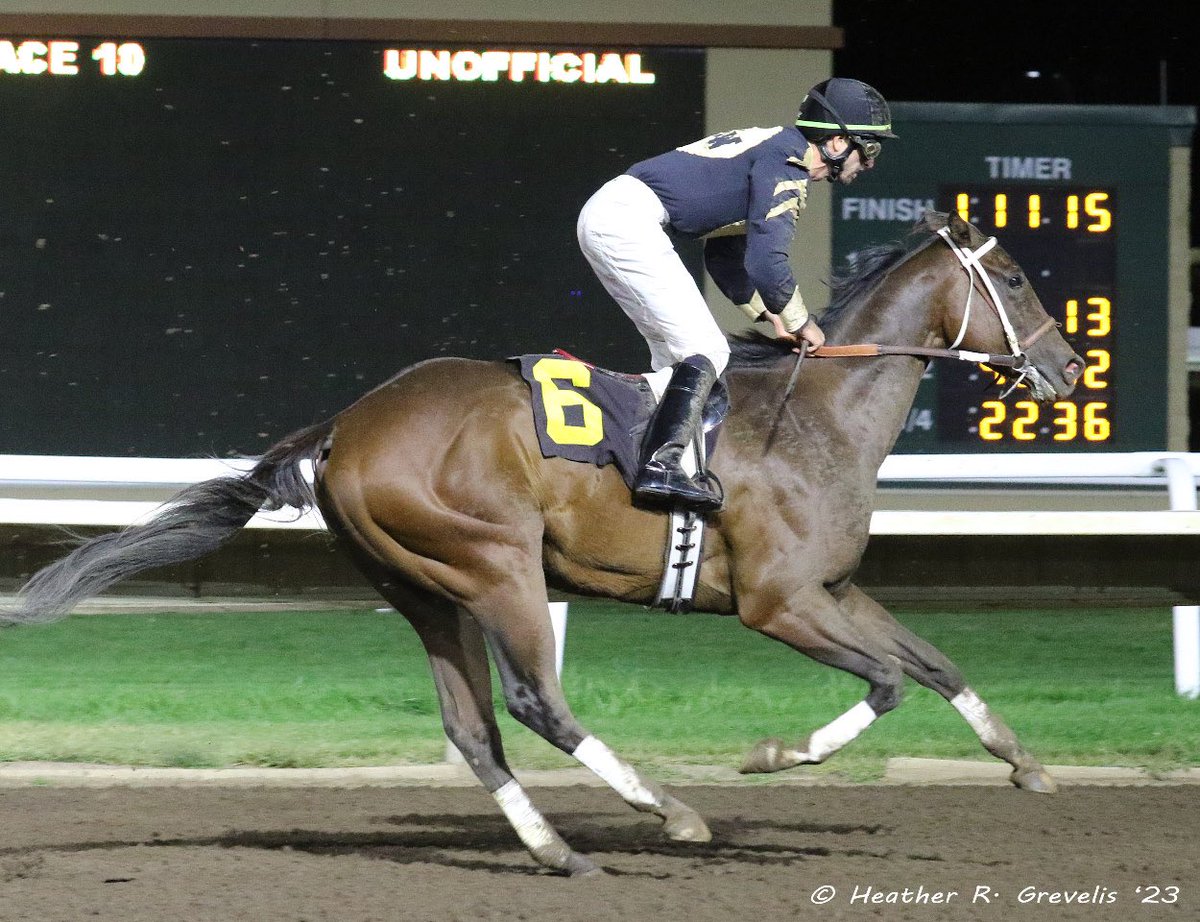 minnesotabred's tweet photo. Not a Dance &amp; Calvin Wolff for trainer Perry Wolff &amp; owners Robert &amp; Perry Wolff; @CanterburyPark https://t.co/QkgdvTNDFn