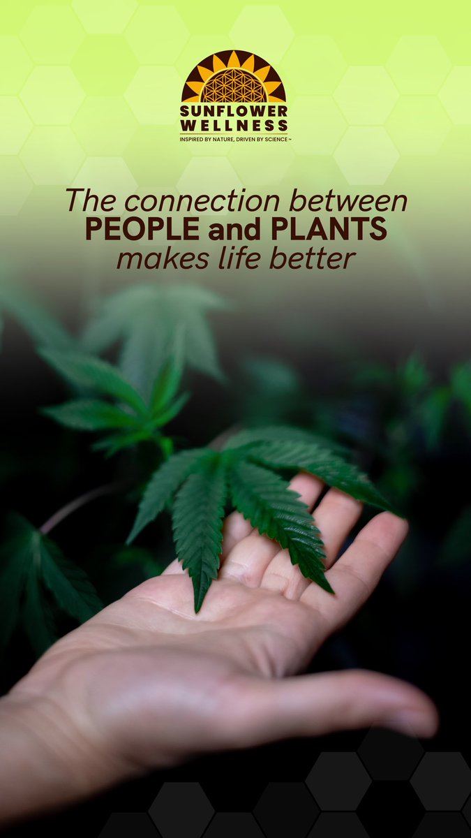 Nature has a positive impact on our lives. At Sunflower, we take it a step further🌍💚

#cannabisculture #CannabisCommunity #Growth #SunflowerWellness