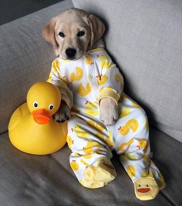 o gente 😍😍😍