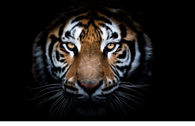 LIGHT THE DAMN DOME!!!! <a href="/MizzouFootball/">Mizzou Football</a>