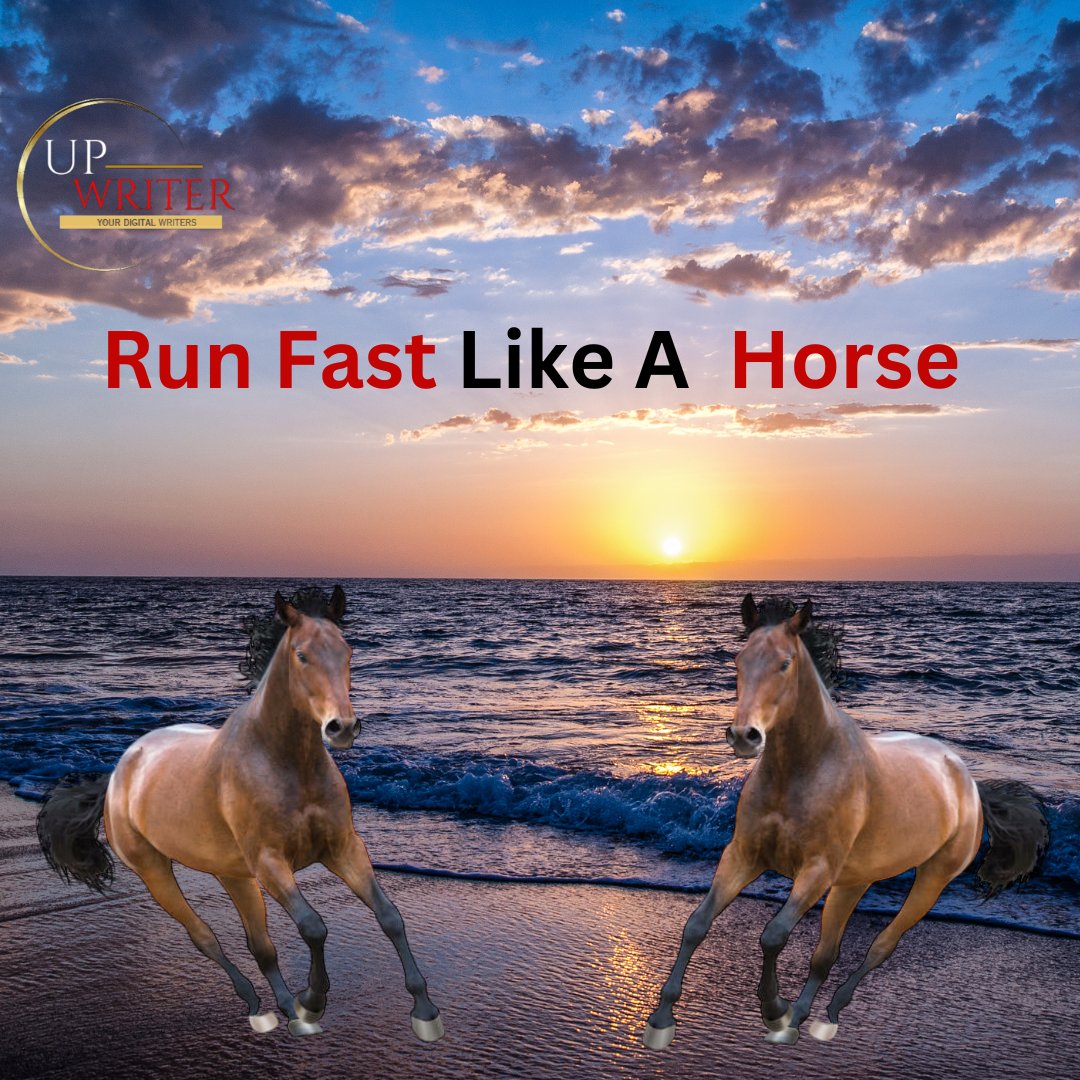 𝗨𝗣𝗪𝗥𝗜𝗧𝗘𝗥 (𝖯𝖵𝖳) 𝖫𝖳𝖣 tweet media