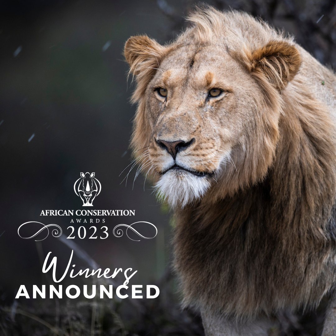 BREAKING NEWS: Winners of the African Conservation Awards 2023 have been revealed!

Best Field Ranger: Nkateko Letti Mzimba, <a href="/blackmambasapu/">TheBlackMambas</a> 
Best Game Ranger: Amos Gwema, <a href="/Zimparks/">Zimparks</a>
Best Conservation Team: Wildlife Action Group, Malawi
Best Conservation Supporter: <a href="/RHINOMANmovie/">RHINO MAN</a>