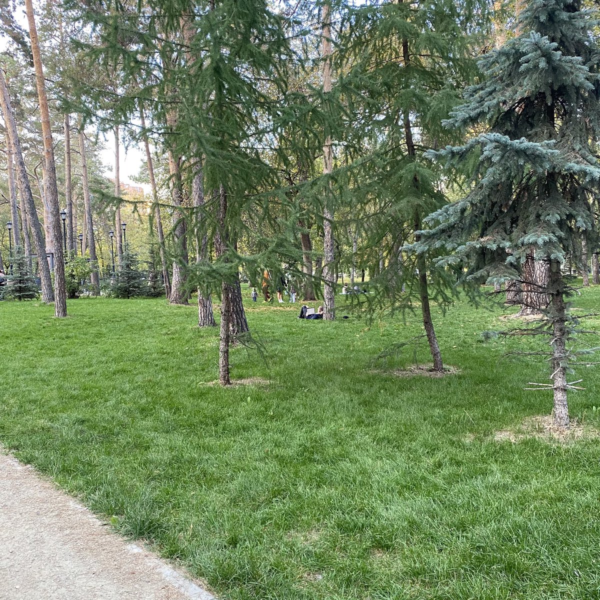 no__chances_'s tweet photo. хочу достичь такой же высокой степени блаженства https://t.co/bofKJYDg0o