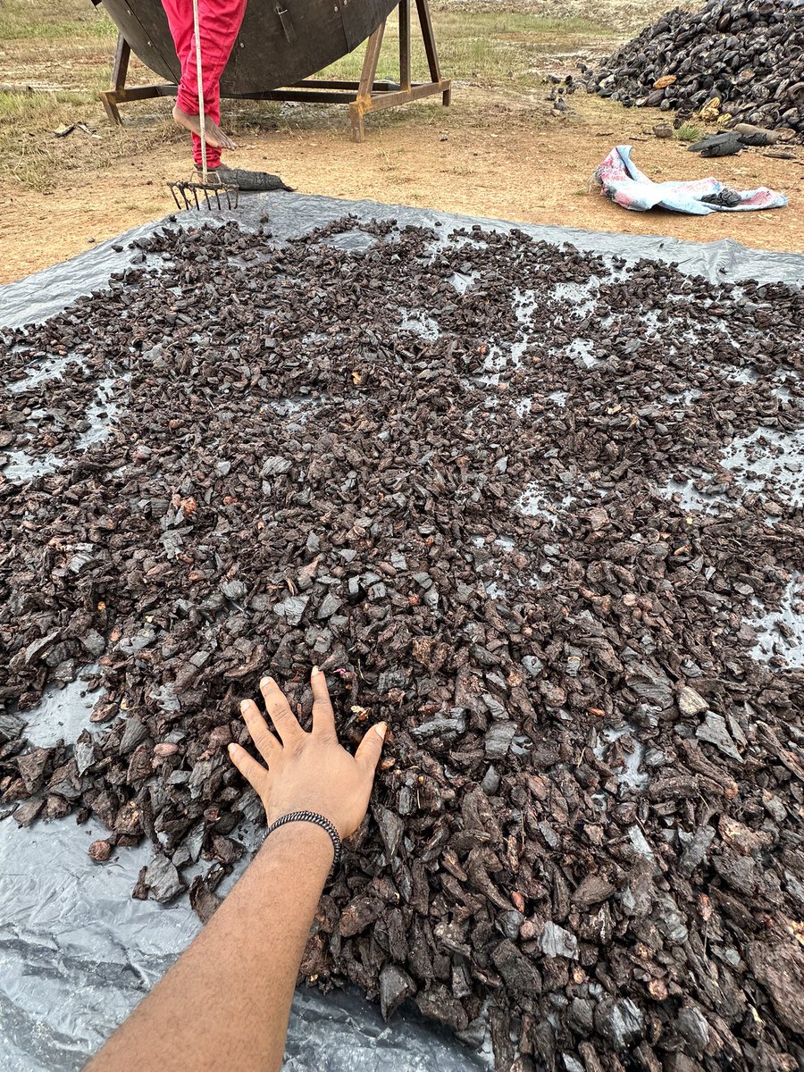 Biochar Compost Project ! 
Sun Drying Feedstock to make sure it’s moisture content is below 30%! This will enable us limit our methane emissions and avoid smoke during our biochar production! 

#15DeSeptiembre #ClimateActionNow #biochar 
#EnvironmentalProtection #agriculture