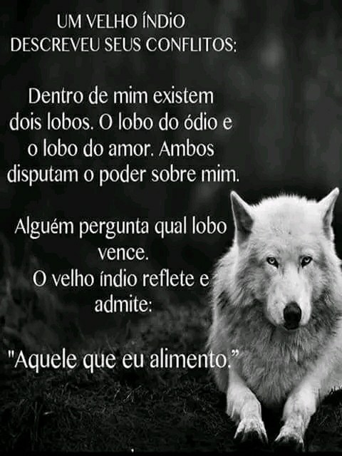 Dentro de mim existem dois lobos ,ambos disputam o controle sobre mim, Alguém pergunta qual lobo vence , o velho índio reflete e admite " Aquele que eu alimento "