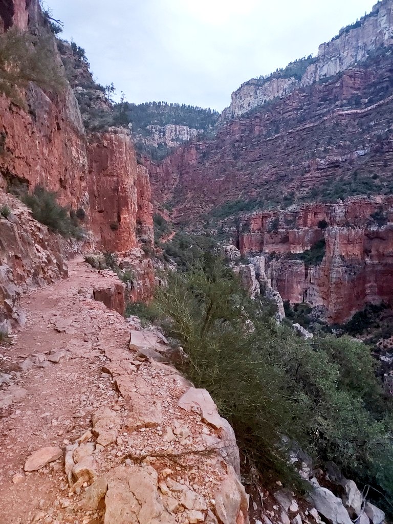 HikingHerts's tweet photo. @GrandCanyonNPS was absolutely amazing! We accomplished RimtoRimtoRim. 5 nights, 5 and a half days of hiking. Every step was stunning and worth the effort. Pictures just can't do this park justice but here some from our trip. @coocoolou @Garmin @SalomonSports @REI @GraniteGearHQ https://t.co/KBv0PxFzK6