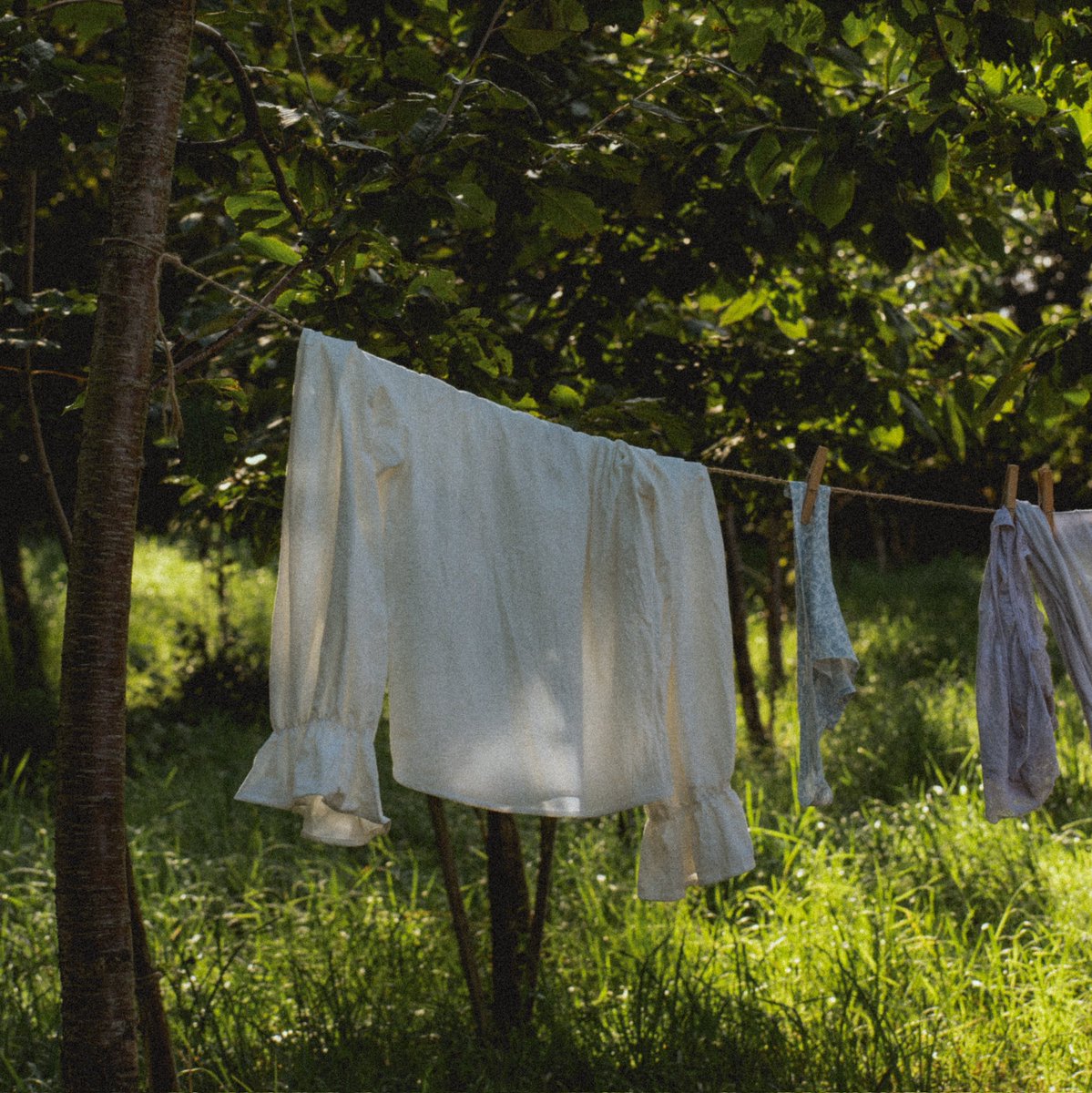 EvanPhoto_'s tweet photo. Clothes 🌾🌿☁️ https://t.co/eROnKZYvjh