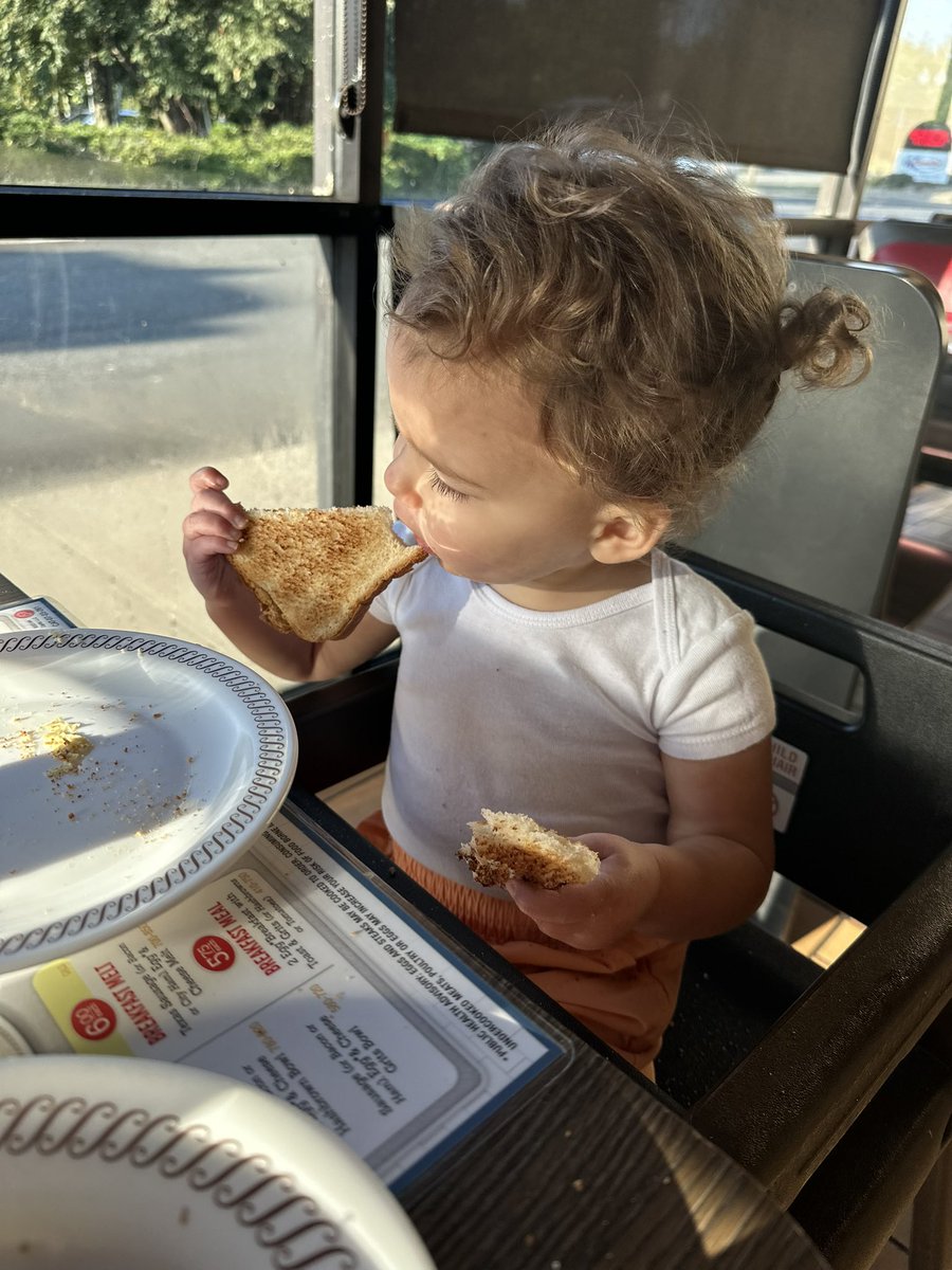 insta_mose's tweet photo. What do the gators and this toast have in common? They don’t stand a chance of survival. ITS GAME DAY!

S/o @cmmoseley2 for continuing the tradition https://t.co/kvf8XH8z75
