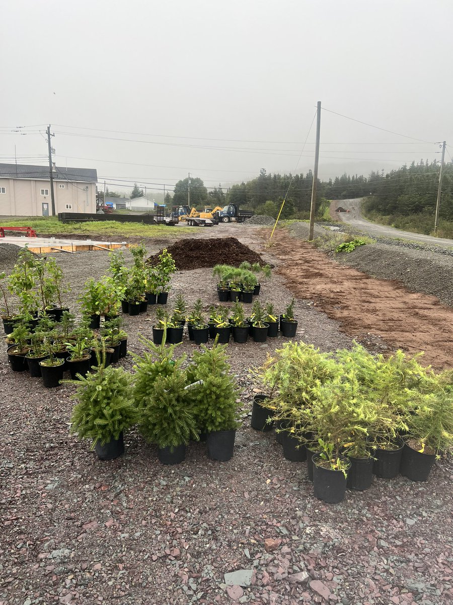 Andrea Cummings tweet media