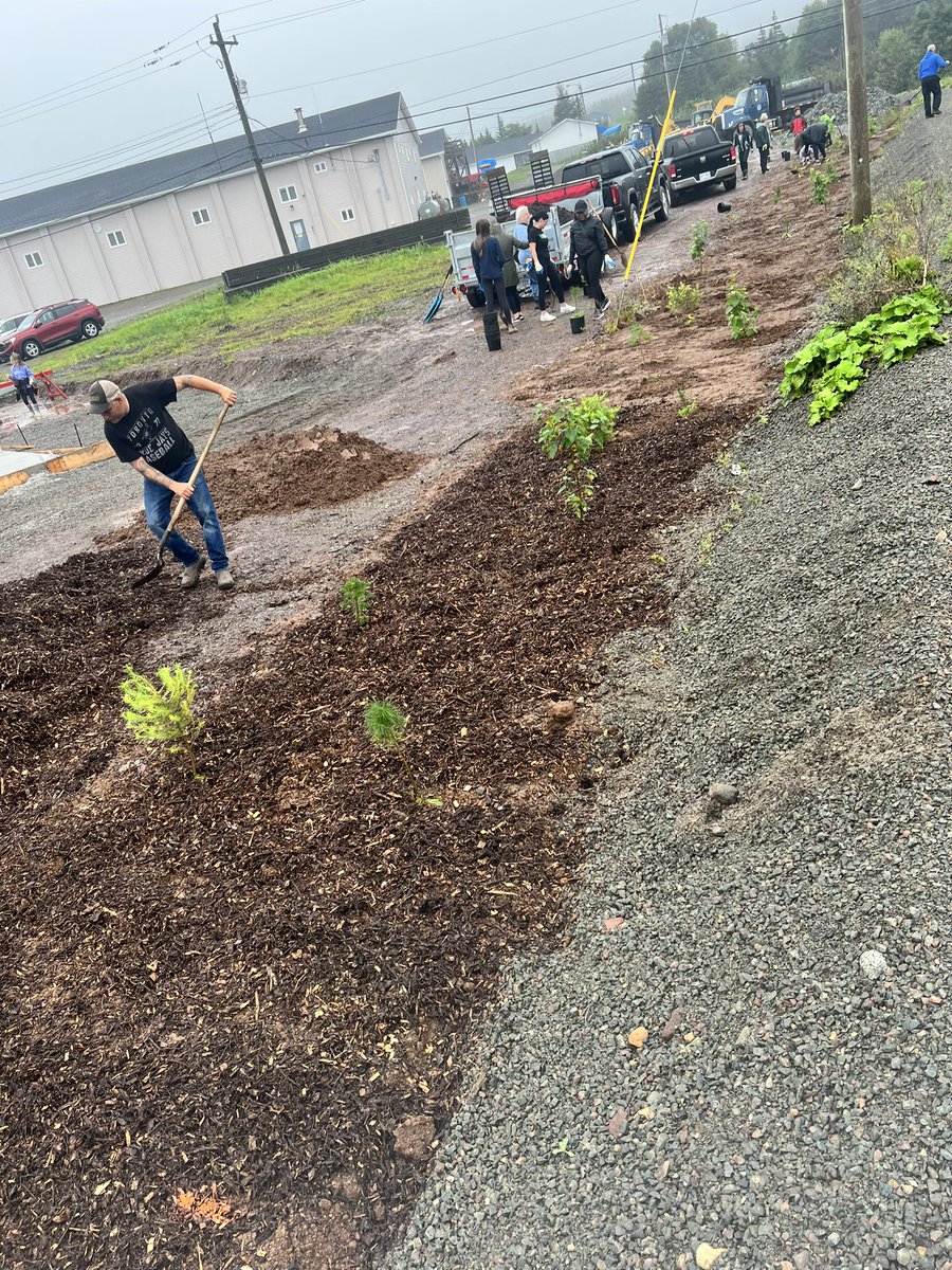 Andrea Cummings tweet media