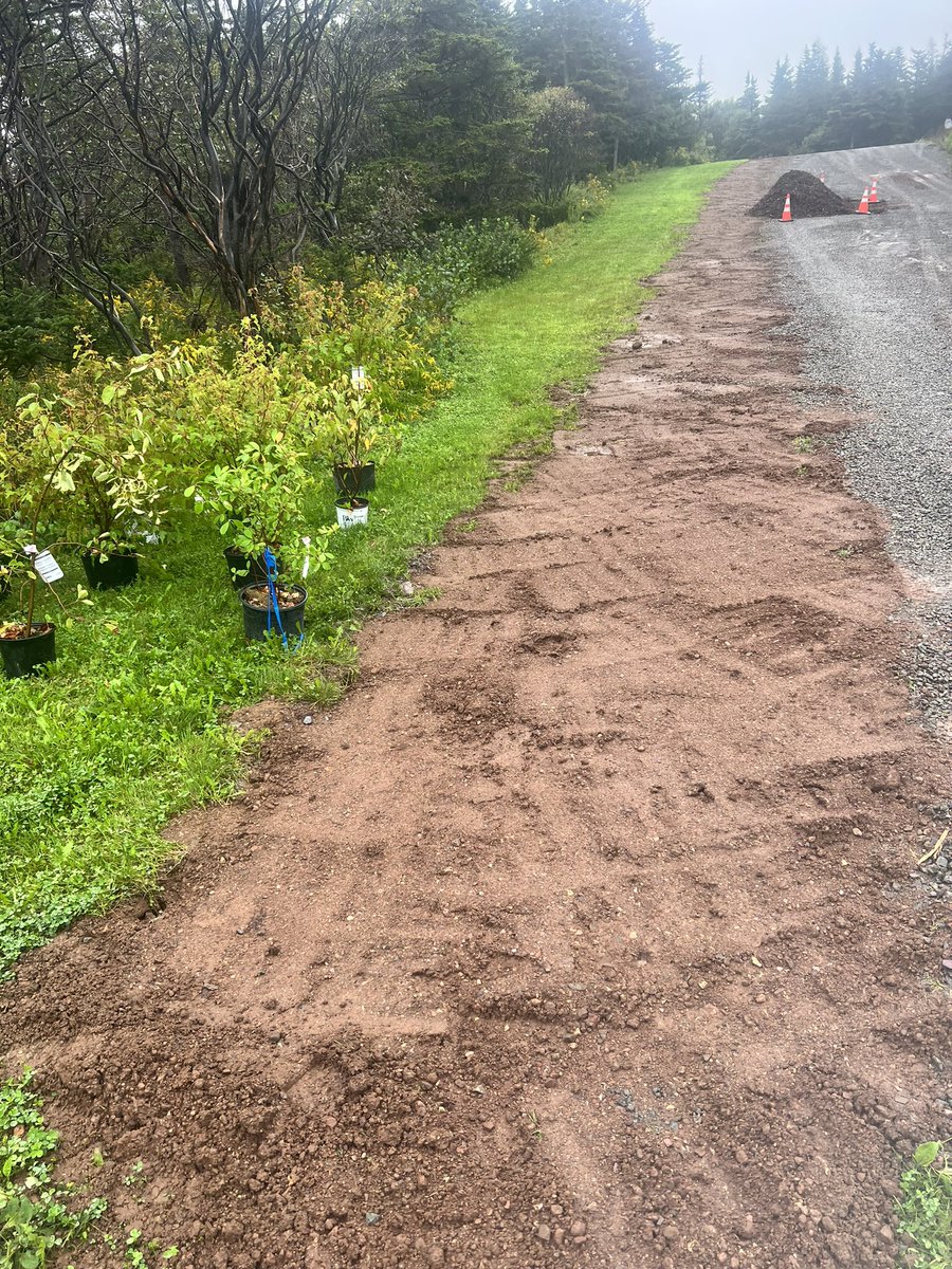 Andrea Cummings tweet media