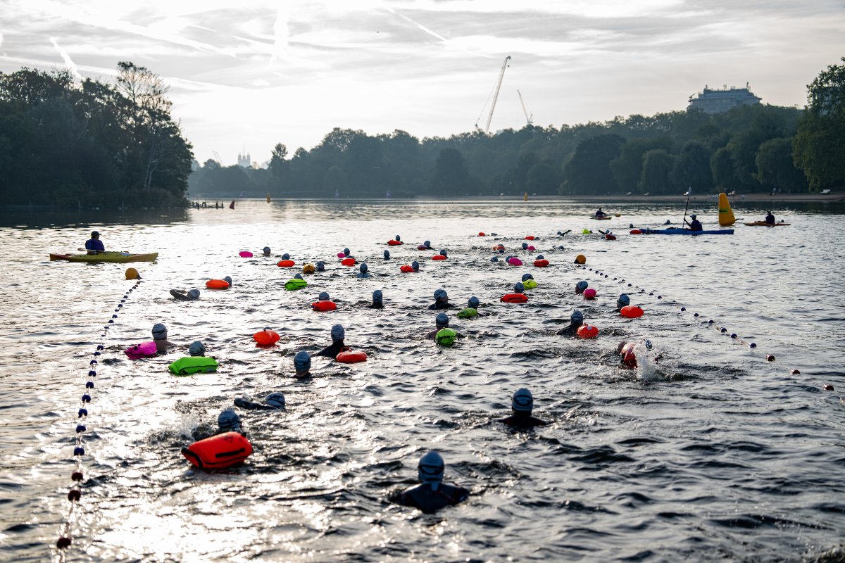 Swim Serpentine tweet media
