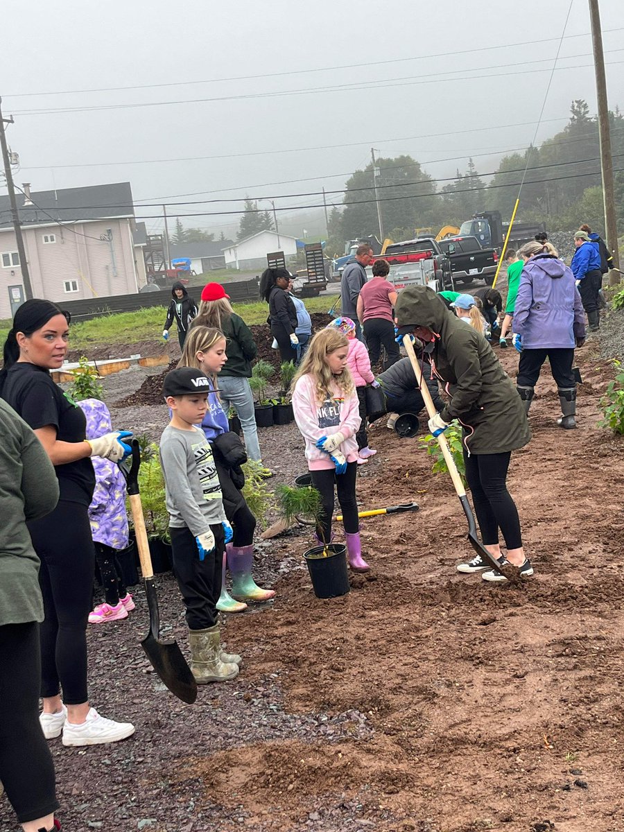 A little rain didn’t stop us from planting 173 Trees today! Thank you to all the volunteers who made this possible #TDTreeDays #TDReadyCommitment