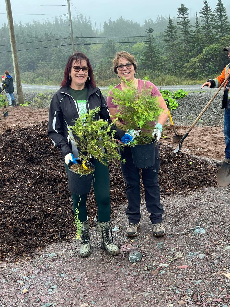 andreancummings's tweet photo. A little rain didn’t stop us from planting 173 Trees today! Thank you to all the volunteers who made this possible #TDTreeDays #TDReadyCommitment https://t.co/PCpaipOpL0