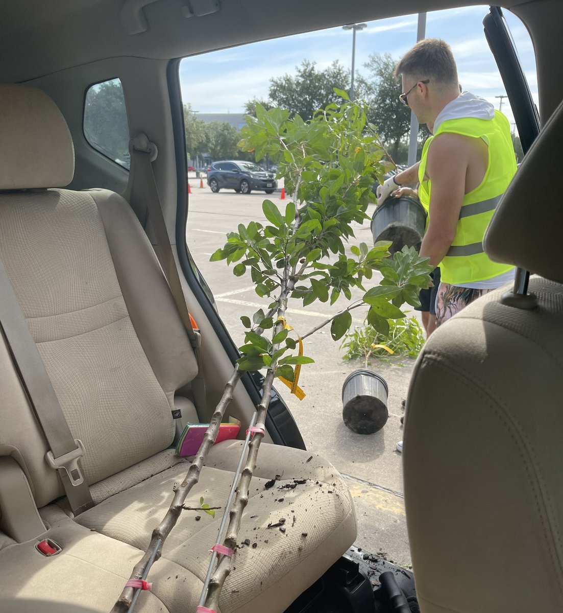 montoyatrev24's tweet image. Saturday morning trip to the Tree Giveaway to pick up trees for @GrayES_AISD gardens. 🌳💚
@LAshley2016 @HoosTeaching 
#FindTheGood #LearningisanAdventure