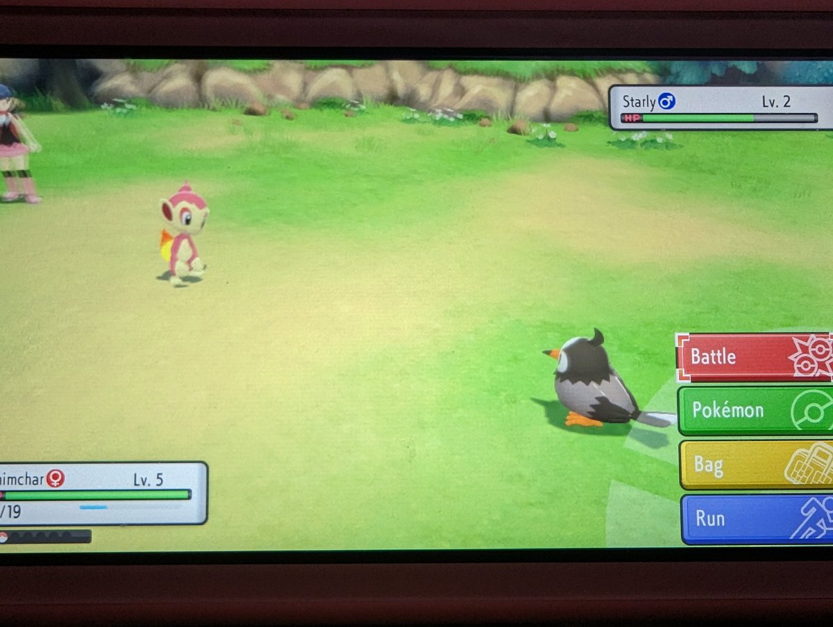 DragonGoTweet's tweet photo. Huge shout-out to @ChemNationYT for the drive to fight the boredom and finish my first shiny hunt and @RTGameCrowd for the hilariously great nuzlocke of Black/ White. Her name's Chimichanga because she's one spicy fire monkey 🤣🤦‍♀️ https://t.co/0moB2nDtFa