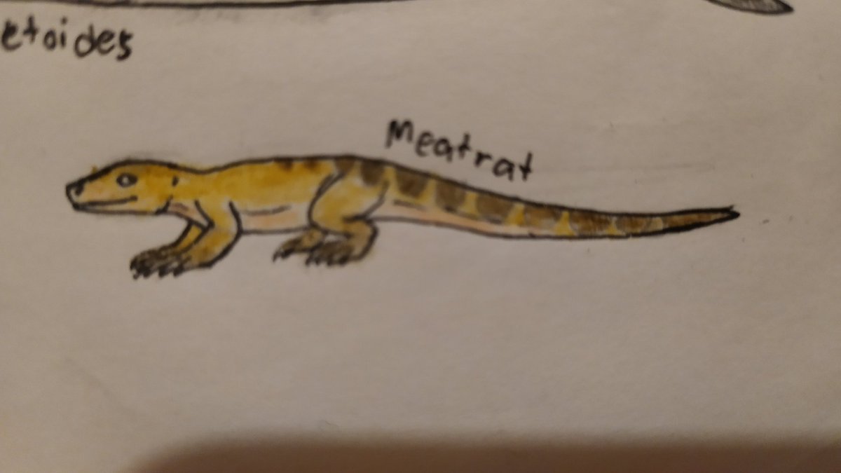 ognimdo2002's tweet photo. #Spectember 16: Biochemistry/End of Phanerozoic: Meatrat or Skinkmouse.
This critter was very nutritious, and very deadly. Introduced in Historya Davvun to Rescris.
#art, #artph, #art2023, #traditionalart, #coloredlineart, #coloredpencil, #illustration, #meatrat. https://t.co/h4wSRUkcBK
