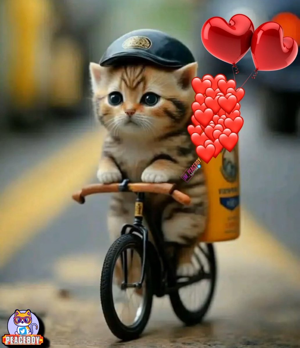 Itz_aj_krish's tweet photo. Old I'd suspended 💔
Follow and support this I'd
@Im_peaceboy2 👈❤️
Follow back 💯
#Leo #LeoSecondSingle #catism 🐈 https://t.co/P1WdJLBmAQ