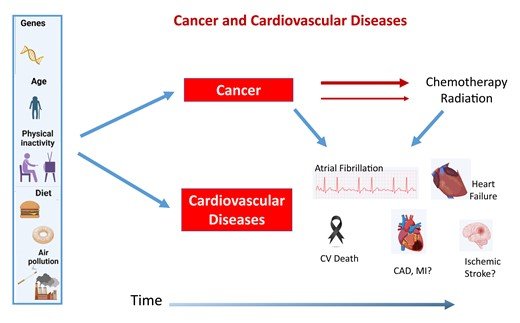 Akhmetzhan Galimzhanov tweet media