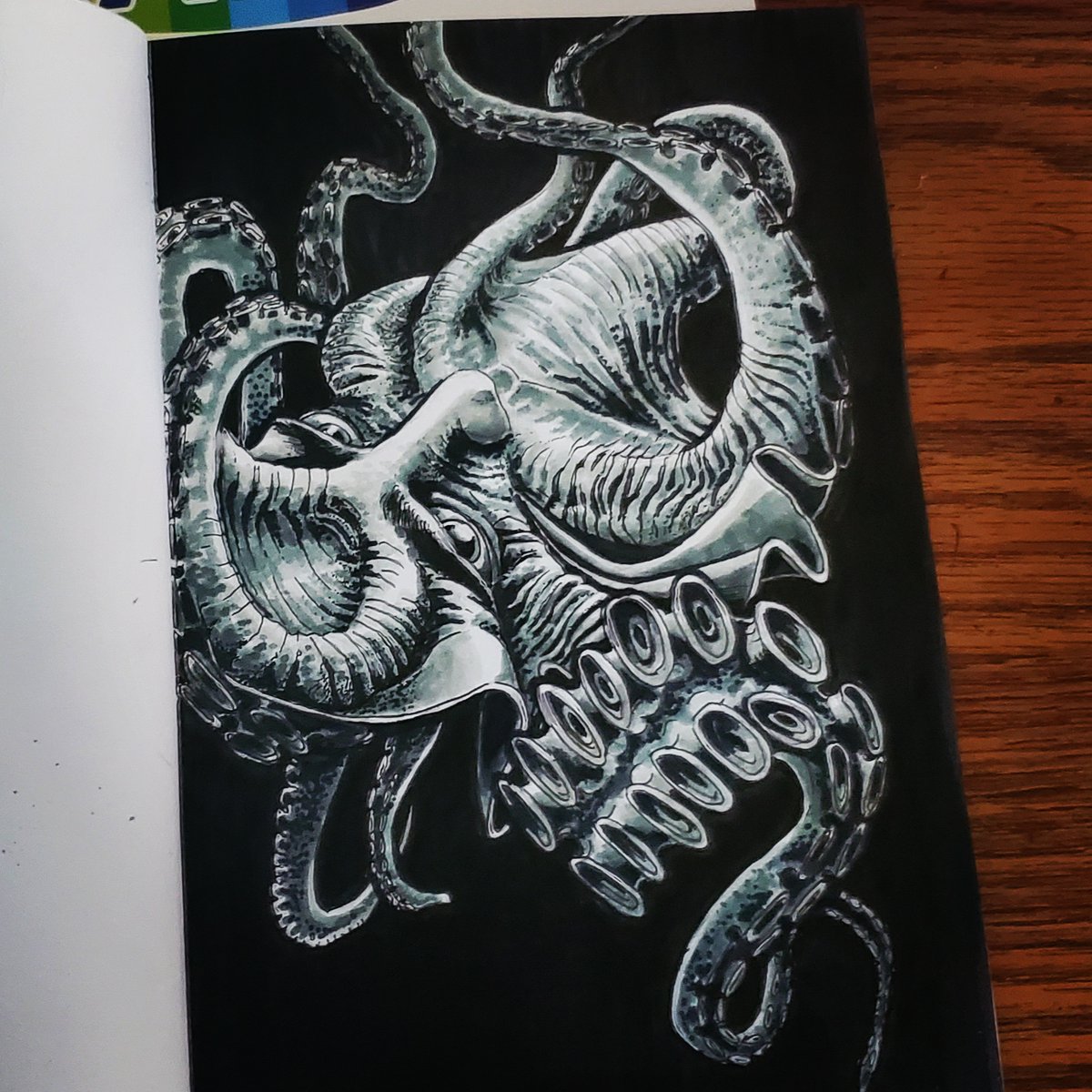 ✨️ I finished the piece I started earlier this week ✨️
Honestly, not crazy about it. First time using markers on something like this, so in my eyes its a bit rough.
.
.
#octopus #drawing #sketchbook <a href="/ArtMutuals/">Art(ist) RT & Support! ✩｡:*•.★✼☆｡.</a> #surrealism #horrorart #horror #markerart #micron #tattooidea