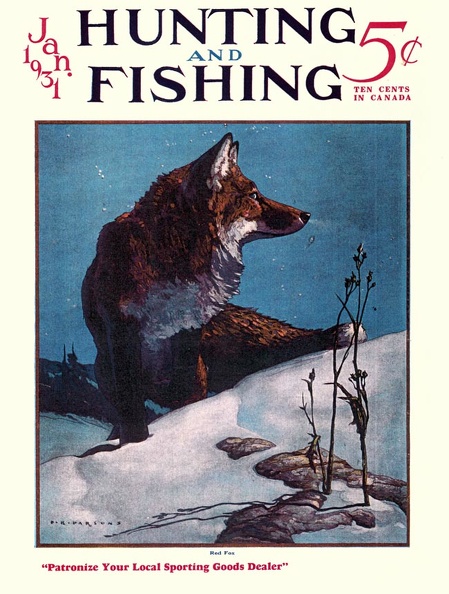 Hunting and Fishing magazine, January 1931
#foxes #redfox #vintagemagazine #vintageillustration