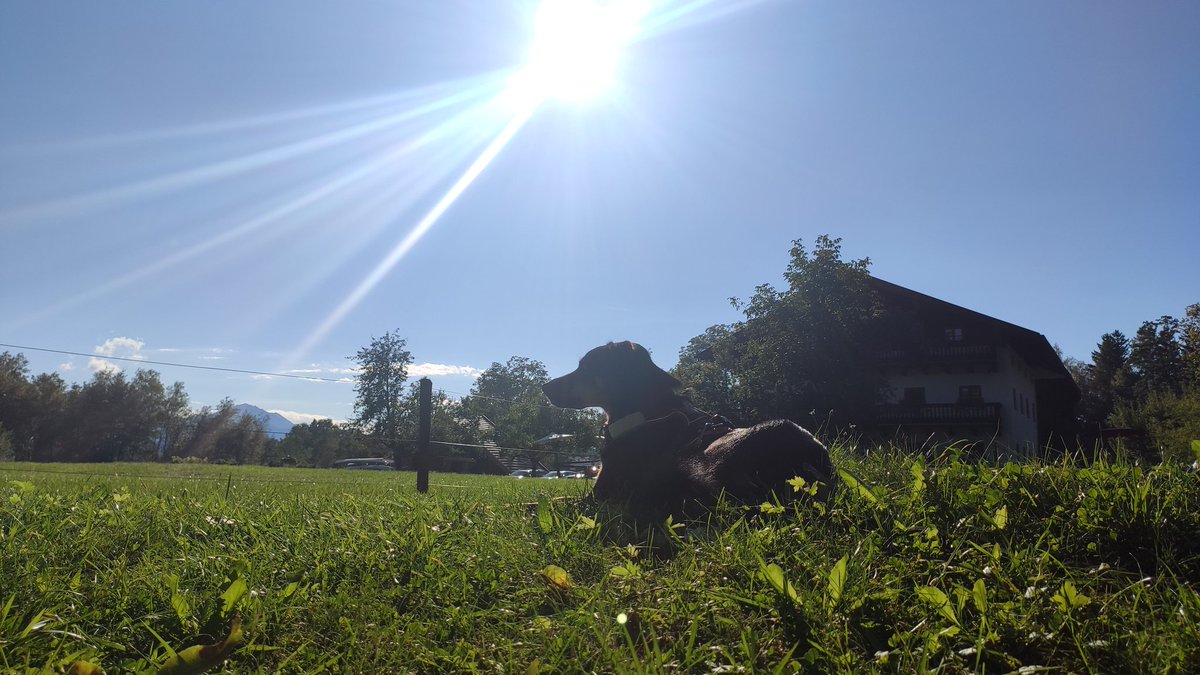 Ihr entschuldigt mich.