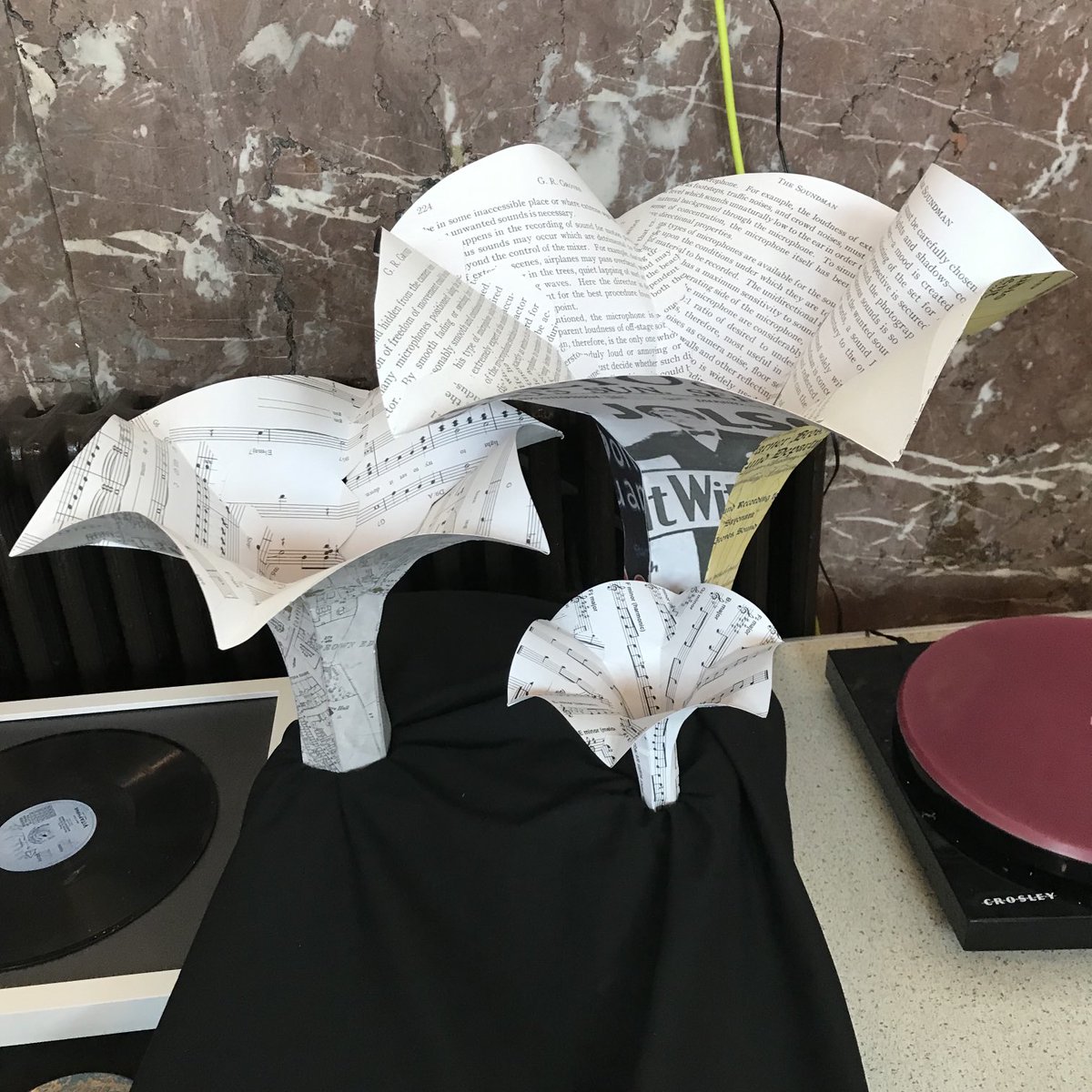 Cath Shea tweet media