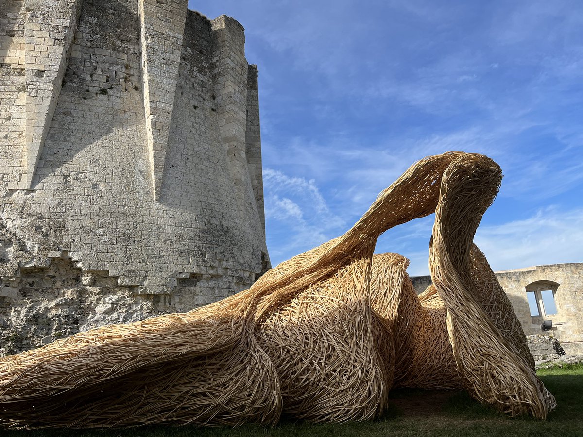 Laura Ellen Bacon tweet media