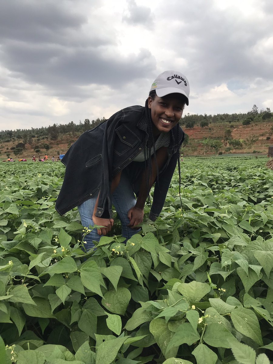MpondaSabinus's tweet photo. Who is interested in beans farming!

Just like and retweet. https://t.co/7fVjl8OlPO