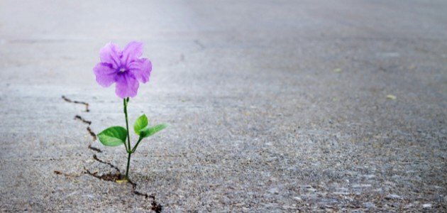 لَوْ عَانَقَ الأَمَلُ الرِّضَا
مَا خَافَ يَوْمِيْ مِنْ غَدِي!

بِهِمَا… أُغَنِّي لِلحَيَاةِ…
وَأَقْطِـفُ الحُلْمَ النَّـدِي!

وَتَفِيْضُ أَنْهَارُ الضِّيَاءِ…
فَيُـوْرِقُ القَلْبُ الصَّـدِي!
#عيسى_جرابا