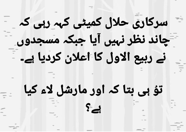 AsiaLies🇵🇰 tweet media