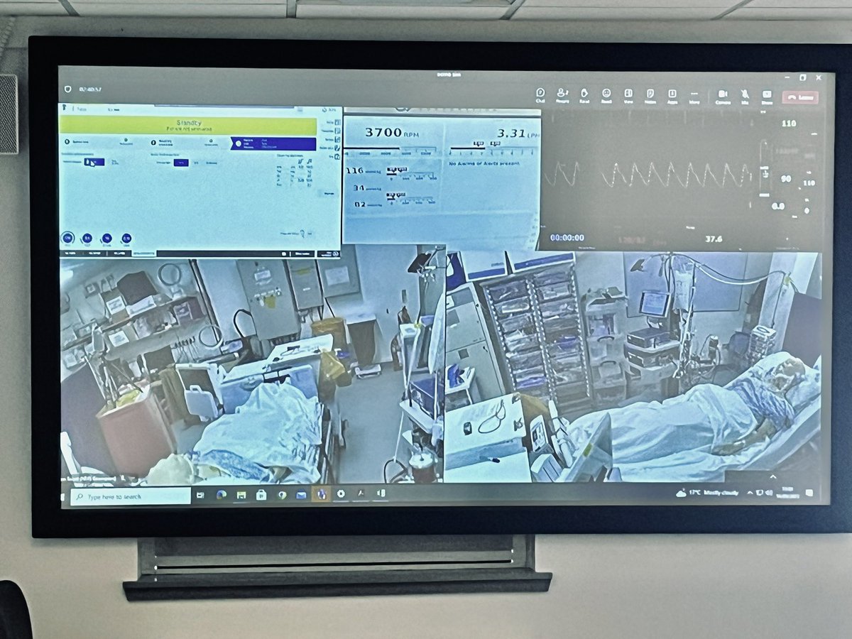 lynsey brander tweet media