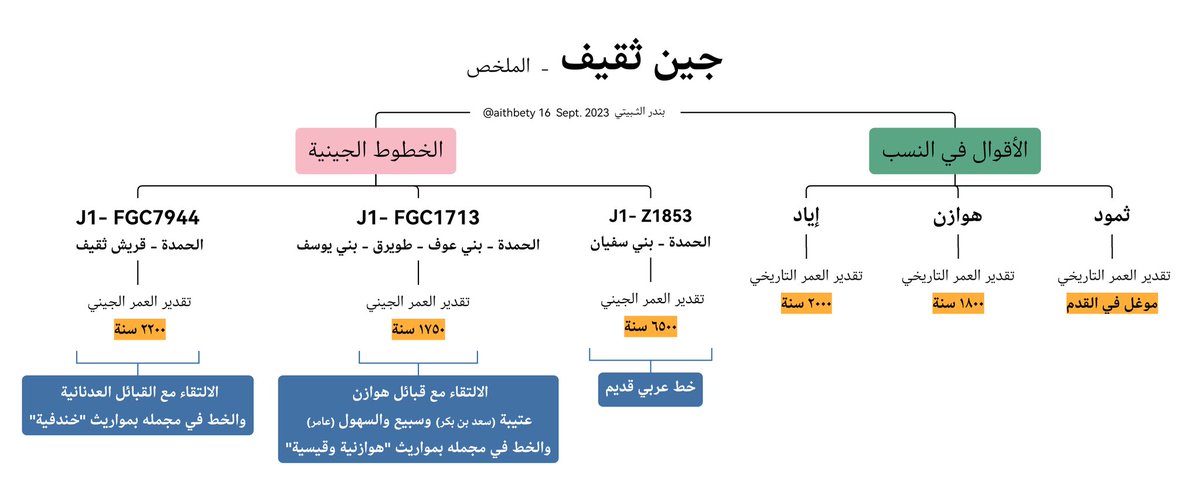 بندر الثـبيتي tweet media