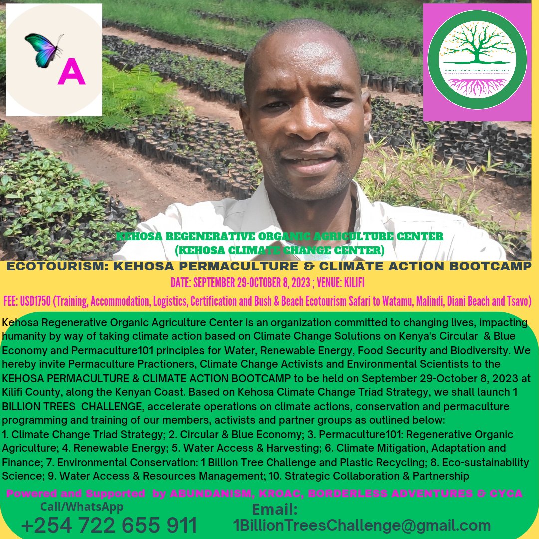 Kehosa International tweet media