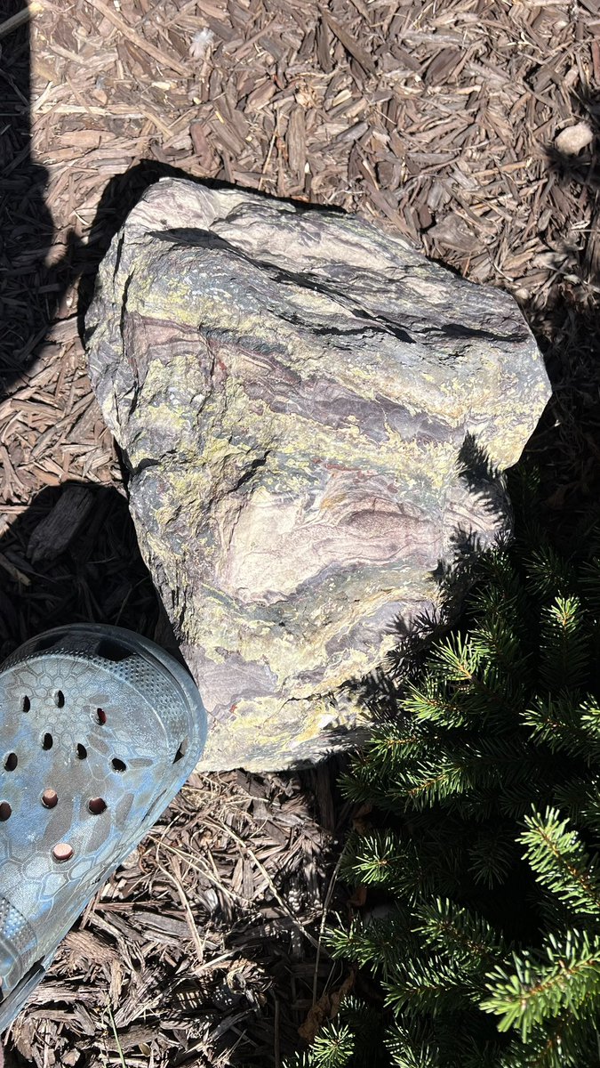 A crazy metabasalt/rhyolite(?) I found. Wet then dry.