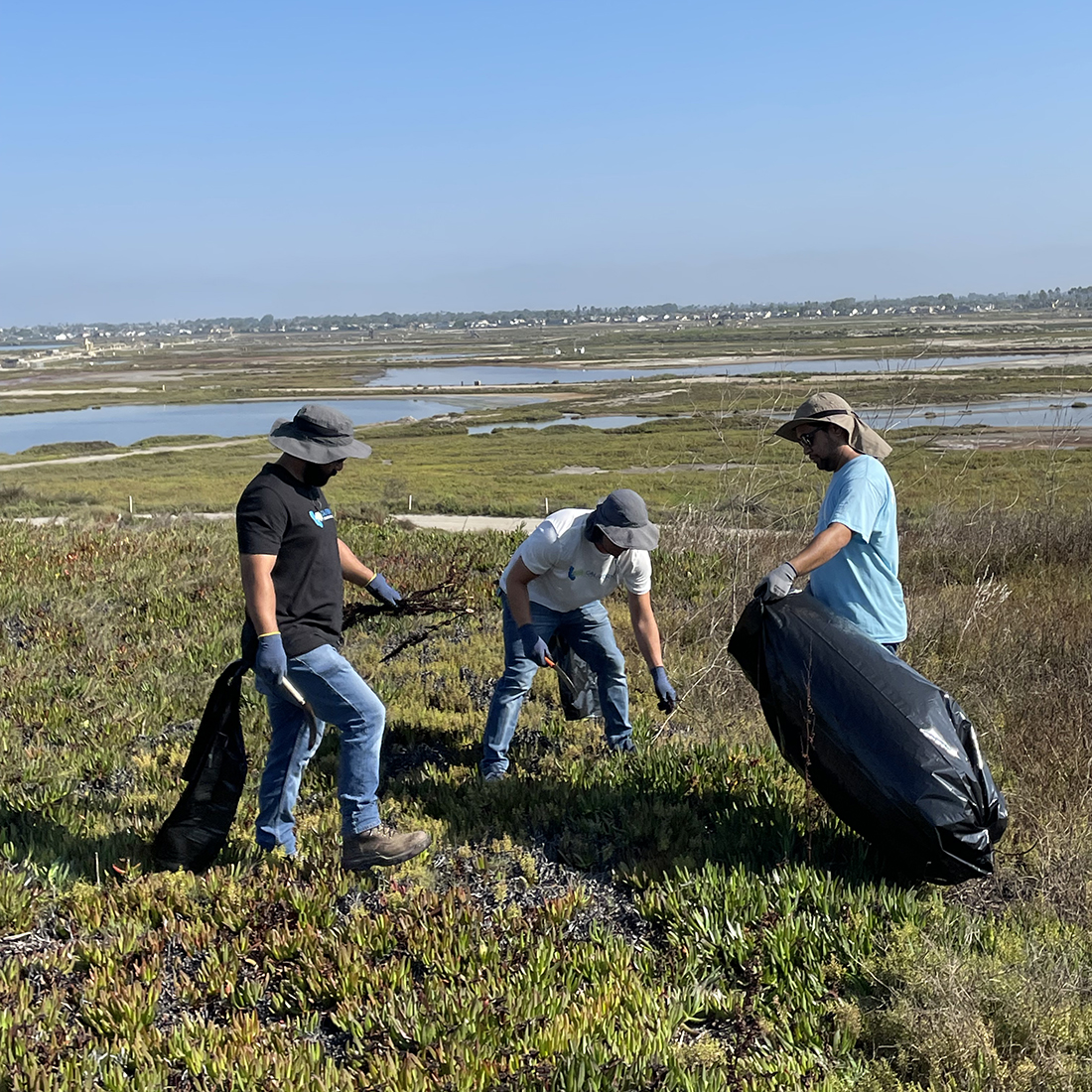 We are proud to work with our community to keep the Bolsa Chica Ecological Reserve healthy and thriving. Thank you to California Resources for helping us remove invasive plants from their work area!